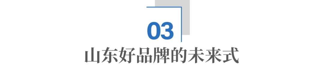 链上好品牌：山东产业链的“冠军基因”