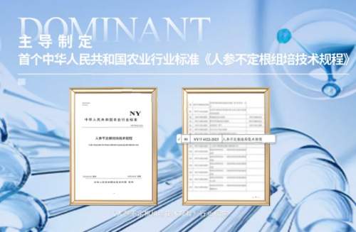 安然纳米携 “七彩生活” 再获殊荣！入选赋能案例，惠及万千家庭