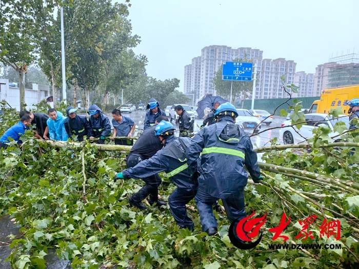 菏泽市东明县迅速响应应对龙卷风极端天气，全力开展灾后救援