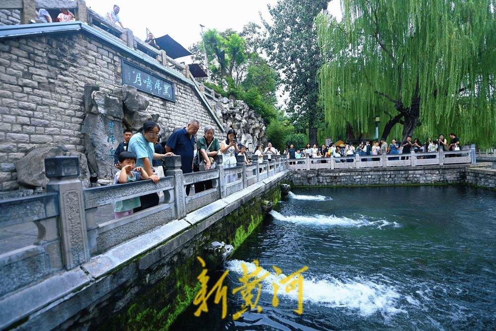 雨水助力 济南黑虎泉水位再次刷新今年最高值