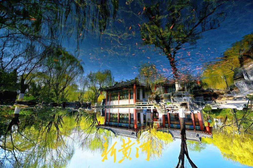 一年四季 泉在济南｜鱼在云中游，在五龙潭公园捕捉倒影里的泉城春天