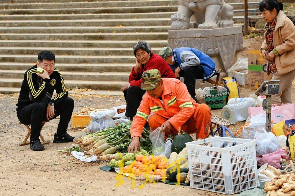 济南金秋山货上市，市民游客赏银杏、尝山货两不误