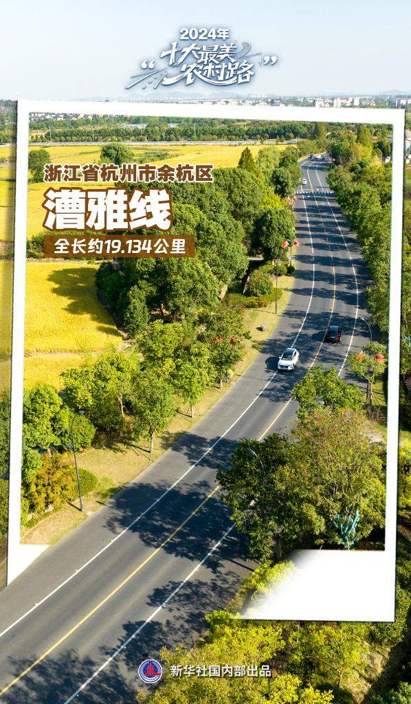 2024年“十大最美农村路”公布，一起去看“诗和远方”吧