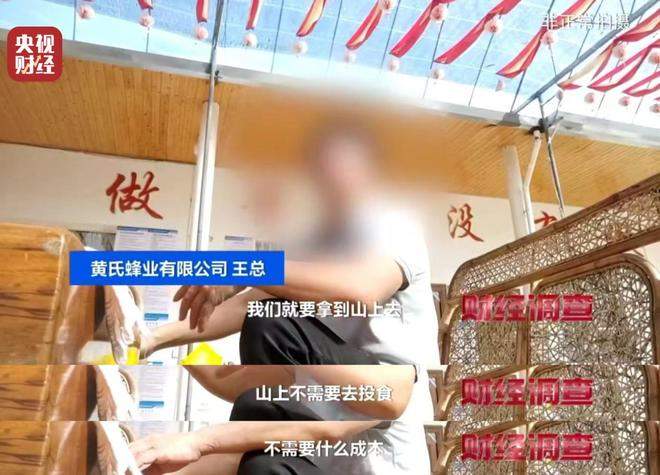 “杀人蜂”遭滥养 有人赚得盆满钵满 央视曝光