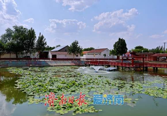 希望的田野上涌动澎湃活力 全市城市更新和乡村振兴现场推进会第二日,12个项目“百花齐放”