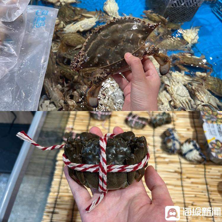 中秋市场提前探！梭子蟹仍占“C位” 北方大闸蟹9月上旬大量上市
