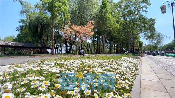 大明湖持续改造新绿道，遐园与文庙同框