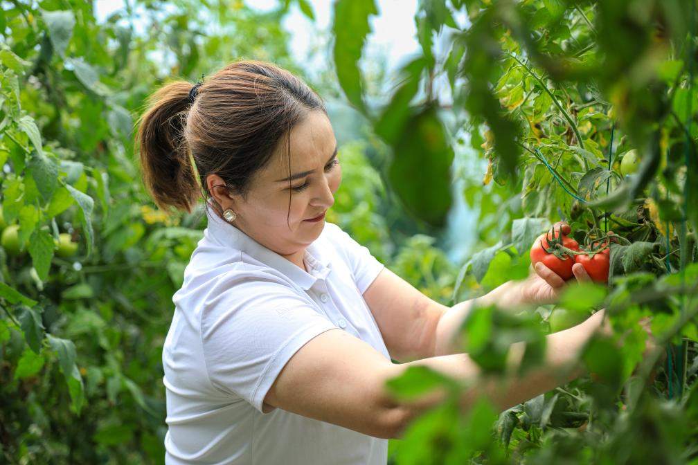 奋斗华章︱实干书写荣光