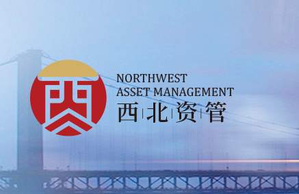 国内四大资本投资公司 ace4f176cbb74fa0a87b46ebbc47d9d8.png?q=65