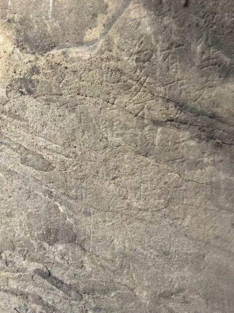 龙门石窟新发现鸠摩罗什译本《金刚经》的唐代石刻