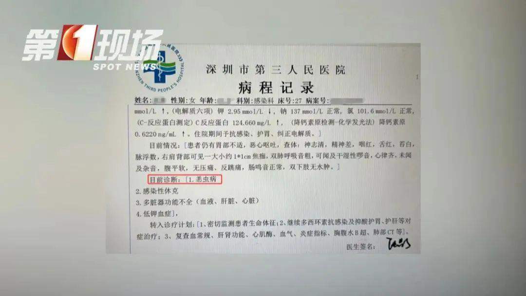 被虫叮一口差点要了命 户外游玩小心这个“小虫子”