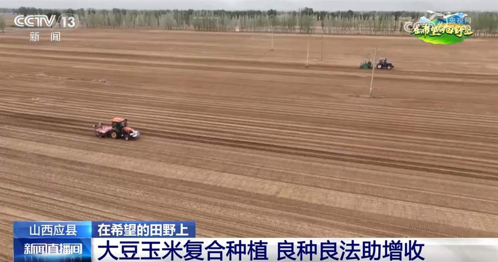 良种、良法、良机护航夏粮丰收 居民“菜篮子”“果盘子”满满“科技范儿”