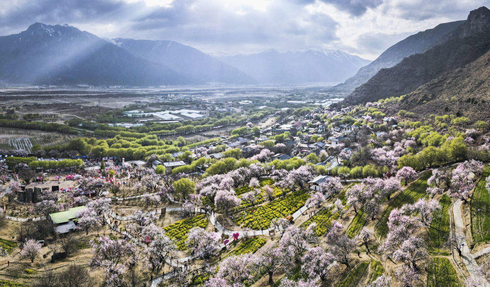 镜观·回响|擦亮兴边富民的“桃花村”品牌