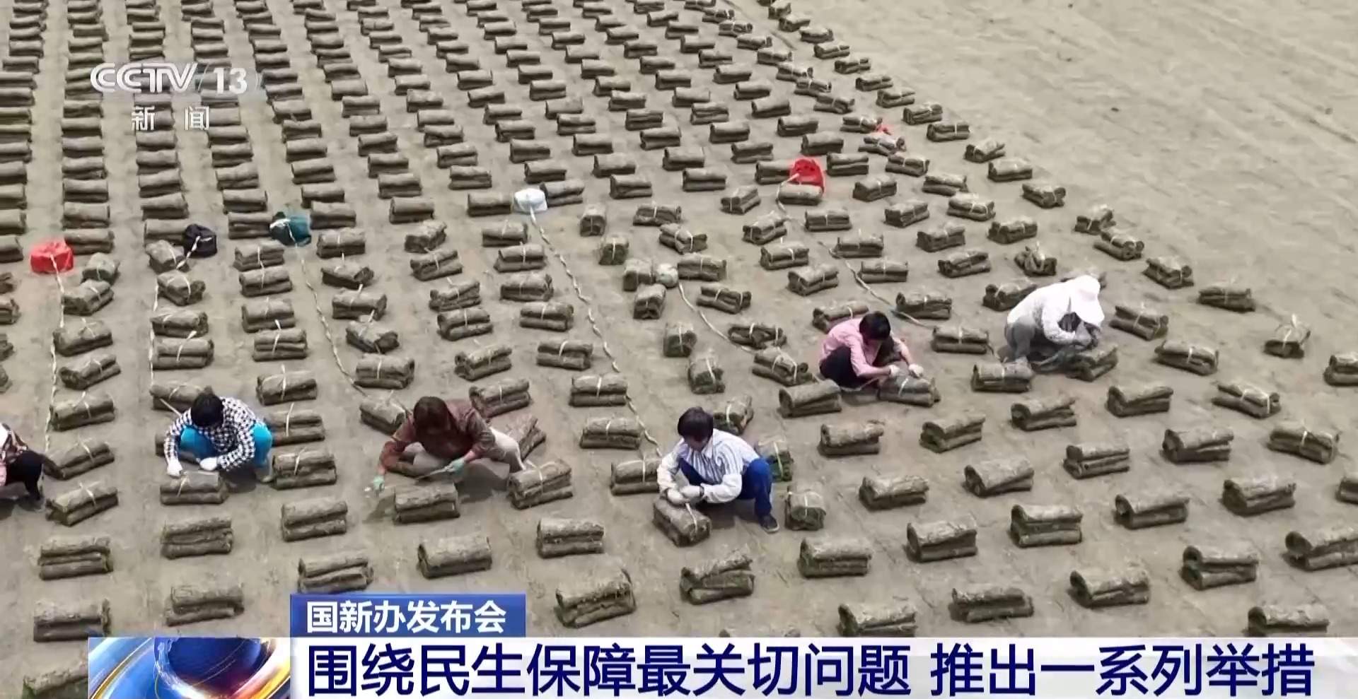 聚焦就业、教育等民生保障最关键问题 各部门推出一系列举措