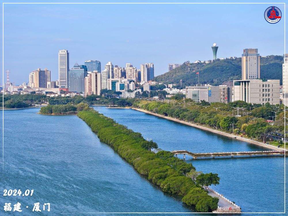 镜观·回响｜守护红树林 中国在行动