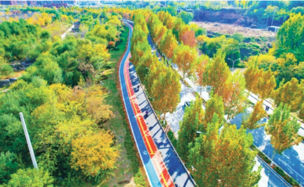 林荫绿道初冬绘彩