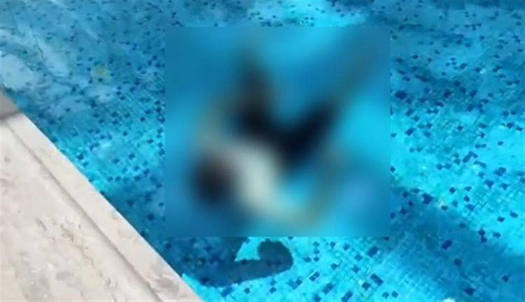 25岁游泳教练在憋气训练时溺亡
，家属称找不到人负责，律师分析