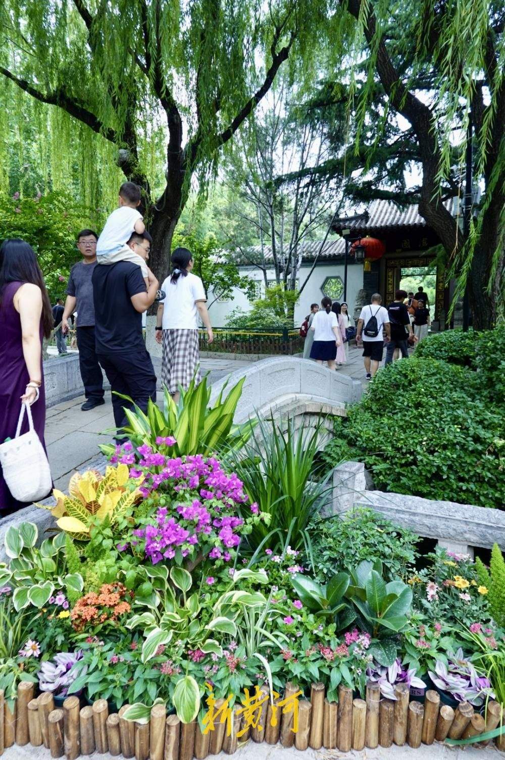 泉水景致焕新 解锁济南夏日泉水纳凉新体验