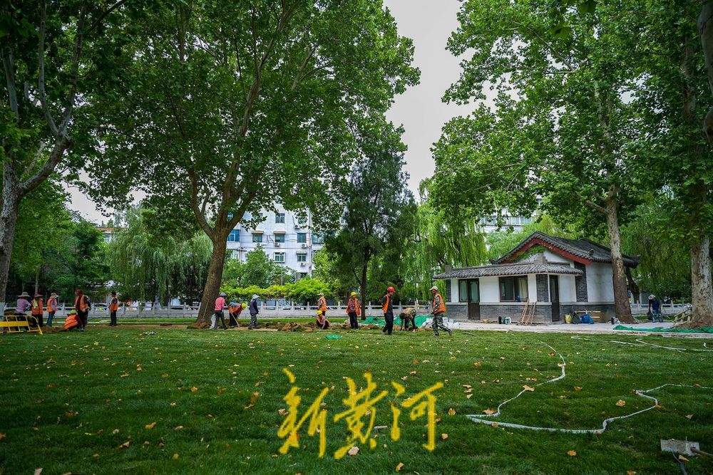 济南大明湖游乐场改大草坪，园外隔河可观湖