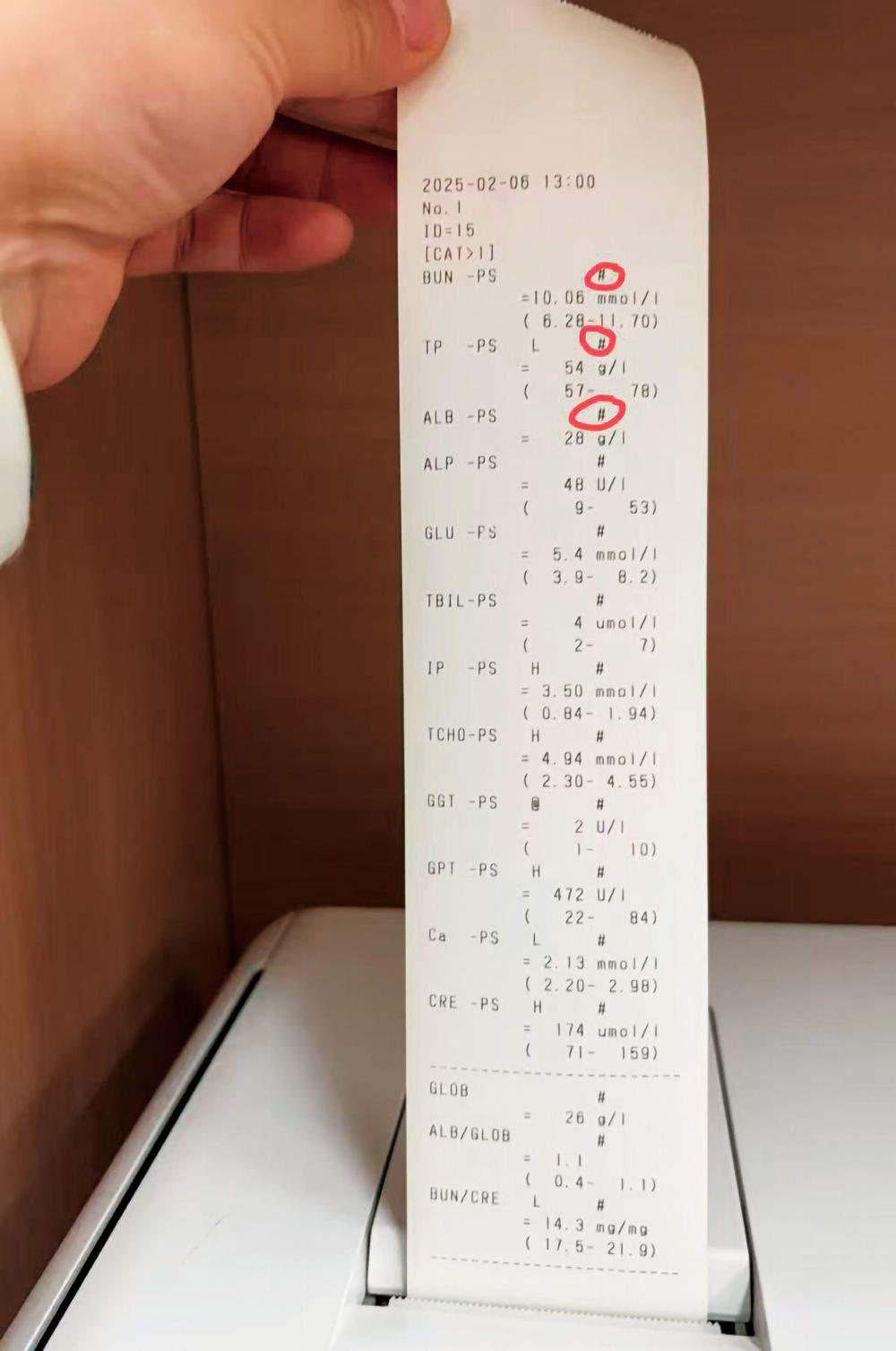 “医猫疗狗”坑太多，宠物主人“很受伤”——缺乏资质、过度医疗、价格混乱……宠物医疗乱象亟待规范