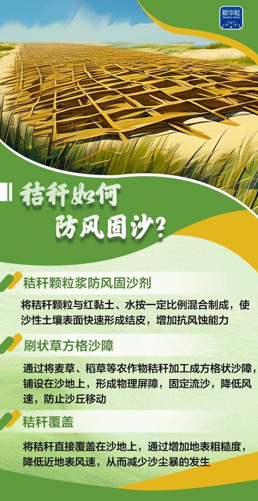 变饲料、转能源、种菌菇……秸秆原来这么“能”！