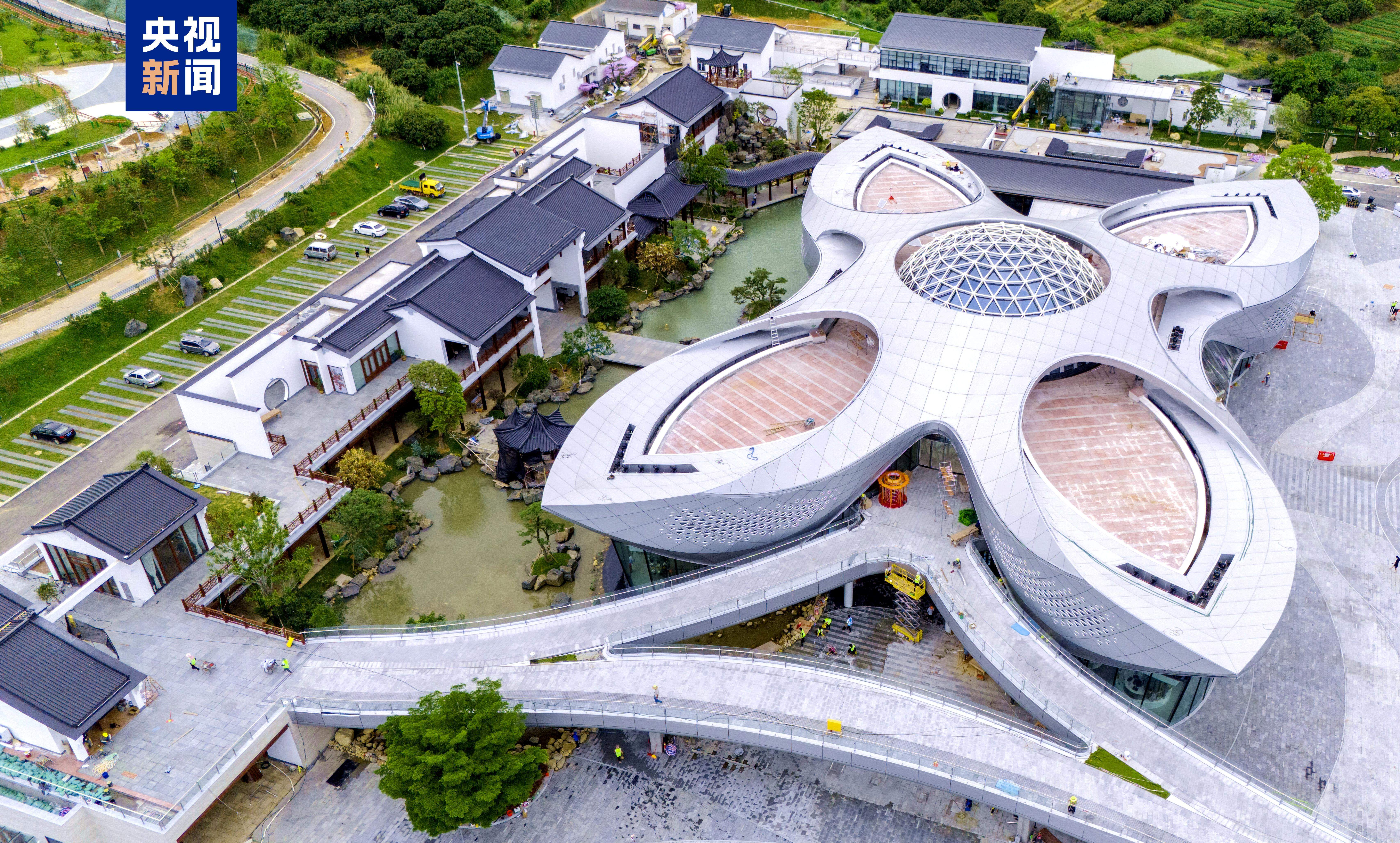 从“一骑红尘”到“一键下单” 岭南荔枝来了