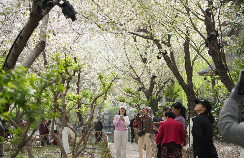 新华社关注济南：“花样故事”里的“春日经济”