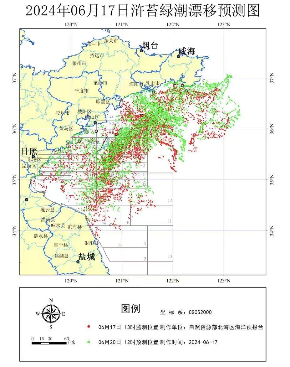 黄海海域浒苔绿潮再度来袭 分布面积近4.3万平方公里