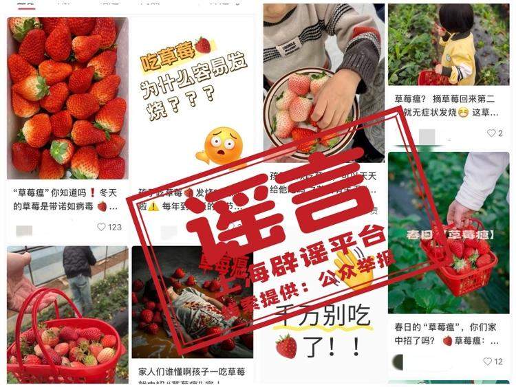 吃草莓会得“草莓瘟”？假！