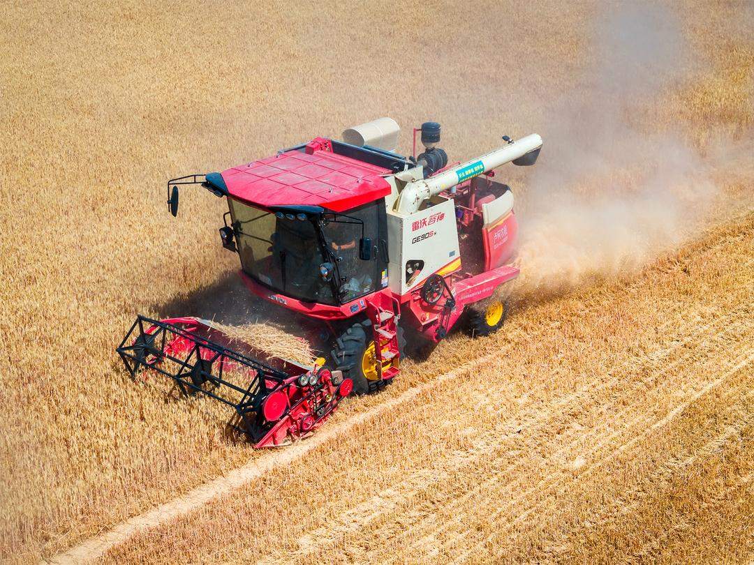 山东好景｜“丰”景里的开心笑容