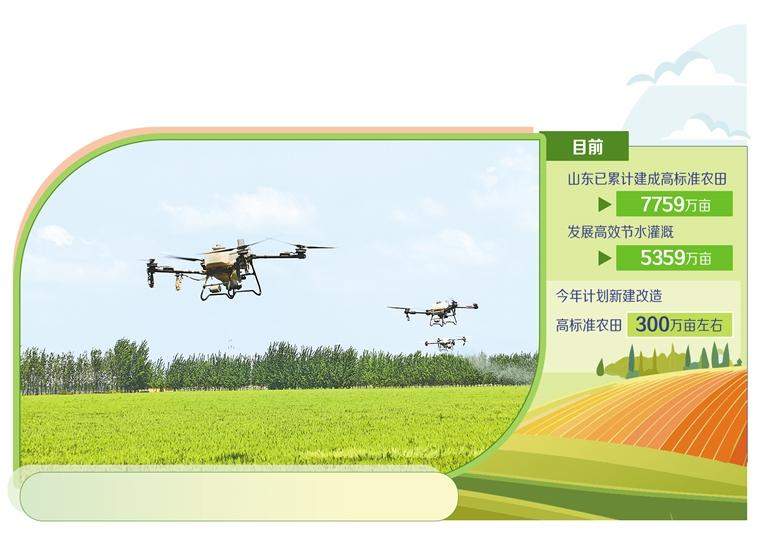 山东打造更高水平粮仓