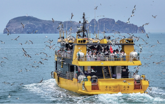 机票价格“跳水”,“抄底游”时机到了