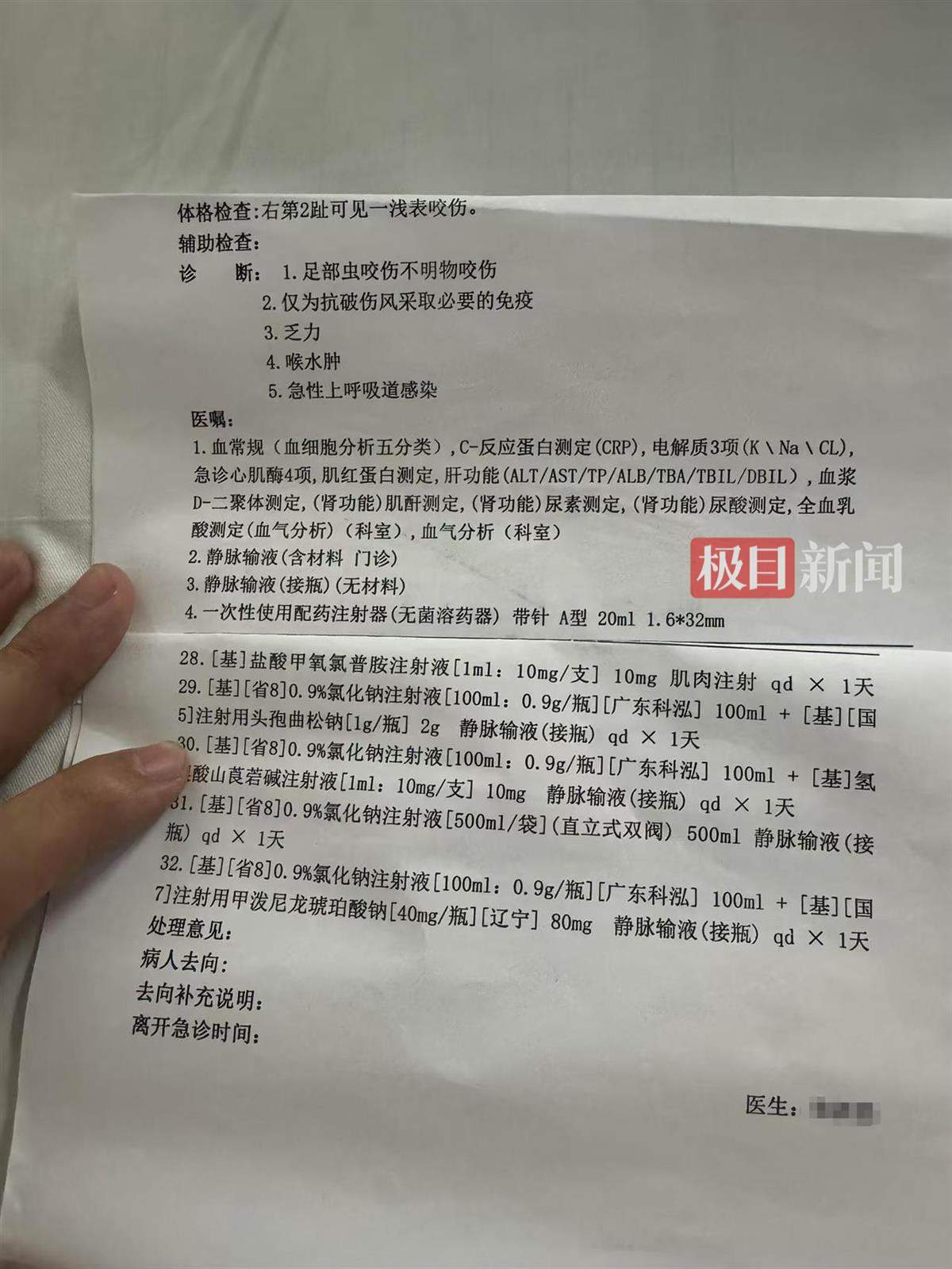 疑被蛇咬伤身亡女子表弟发声：被咬地系三亚市区人行道，表姐已在新加坡申请读研
