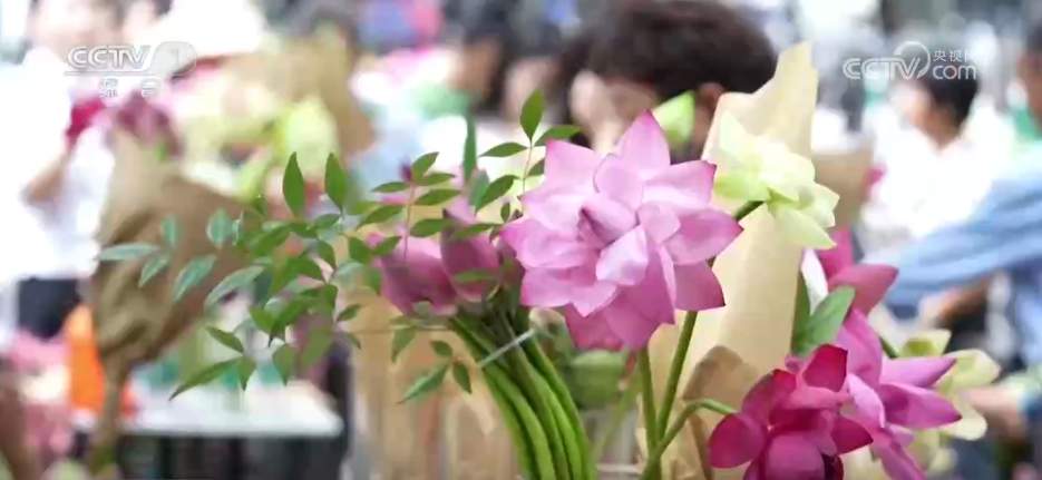 “颜值”变“价值”！一朵荷花“开出”消费新花样 “链”出消费新业态‌