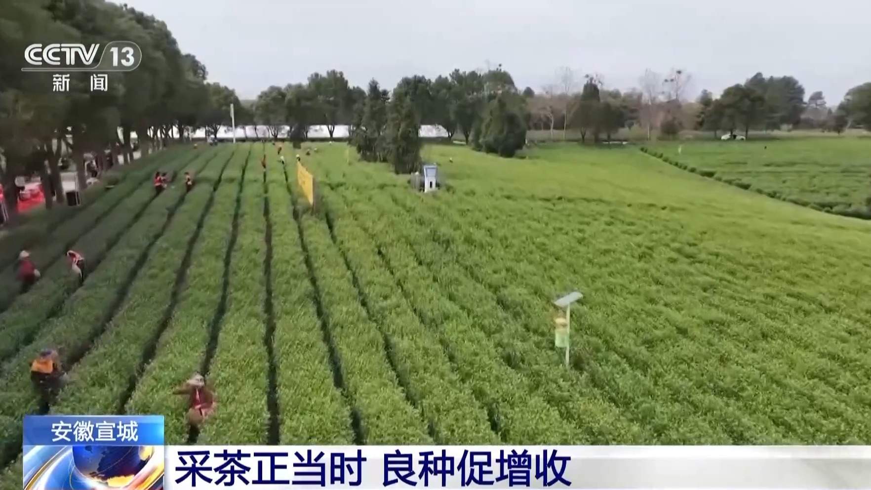 抢抓农时 各地按下春耕备耕“加速键”