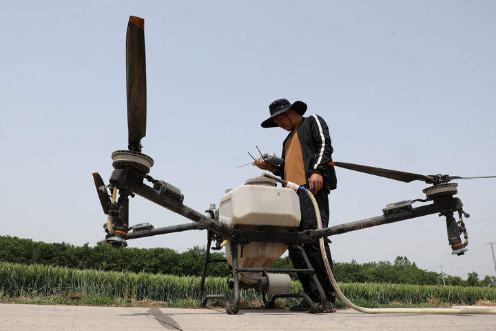 沉甸甸的收获——2025年夏季粮油收获一线观察