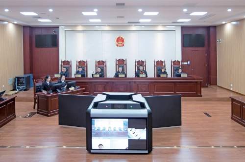 金雕回家了！一张“爱鸟者”起诉状引出的公益案件