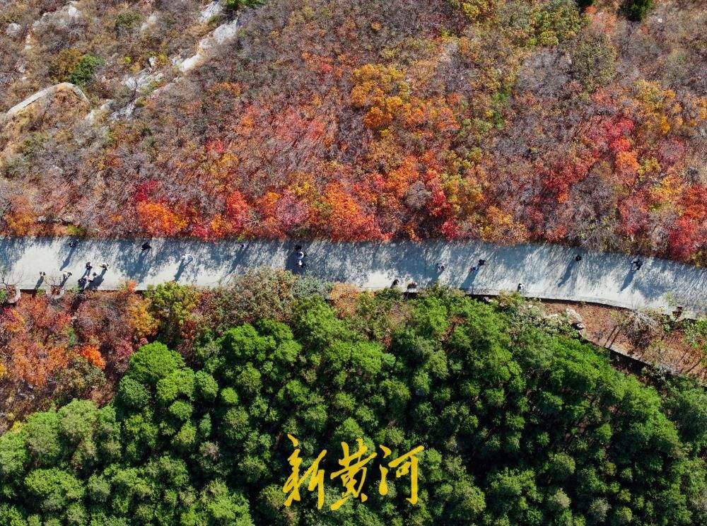 一年四季 泉在济南丨层峦焕彩！秋染蚰蜒山 登高赏彩林
