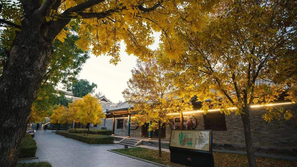 打卡山西古书院，体验穿越千年的读书地