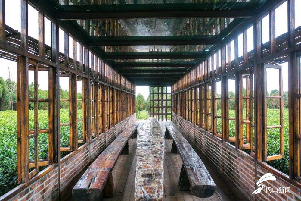 在日照,品一杯听海长大的茶|青春思政课