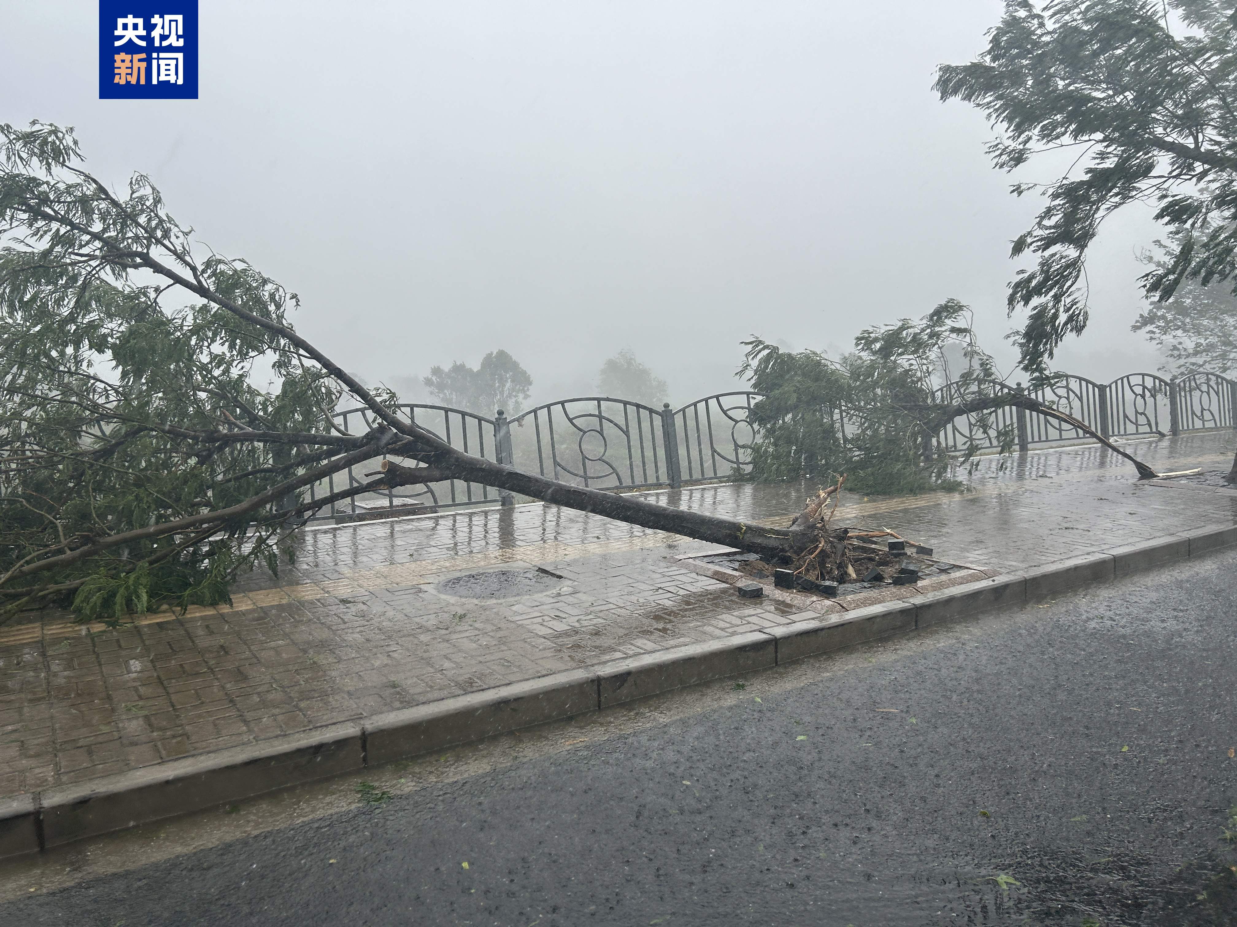 “贝碧嘉”登陆上海 多地交通受到影响