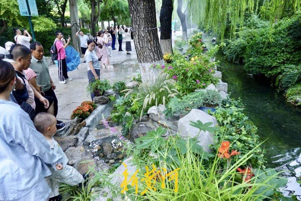 泉水景致焕新 解锁济南夏日泉水纳凉新体验