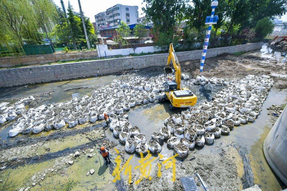 两河交汇处河道清淤 上千袋淤泥“搬新家”