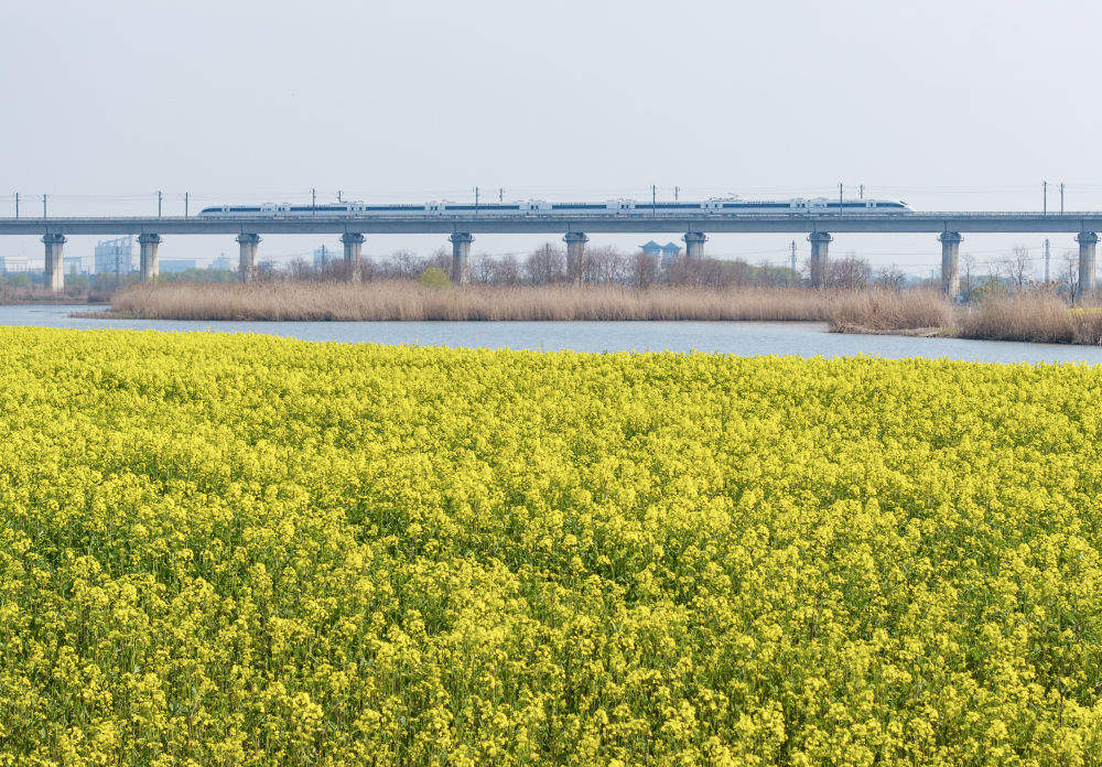 开往春天的列车，下一站：春和景明