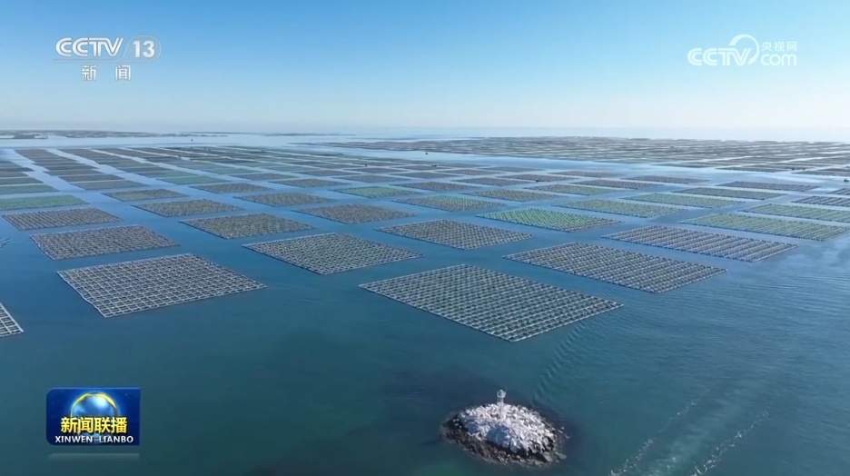 “两新”政策加力扩围 支持设施农业更新改造