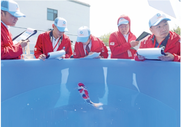 登山淘宝节、赏花推介会、景区非遗展……春日+掀起济南春季消费热