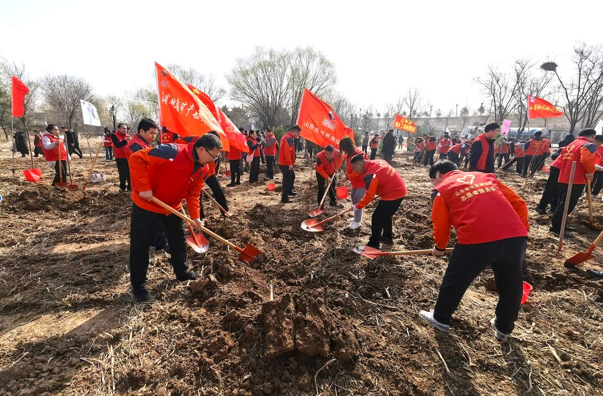 山东省地矿局地质测绘院组织参加局“植绿护绿共行动 地矿担当绘青山”植树活动