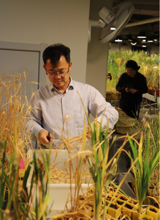 济南：泉城名士多 海右人才涌