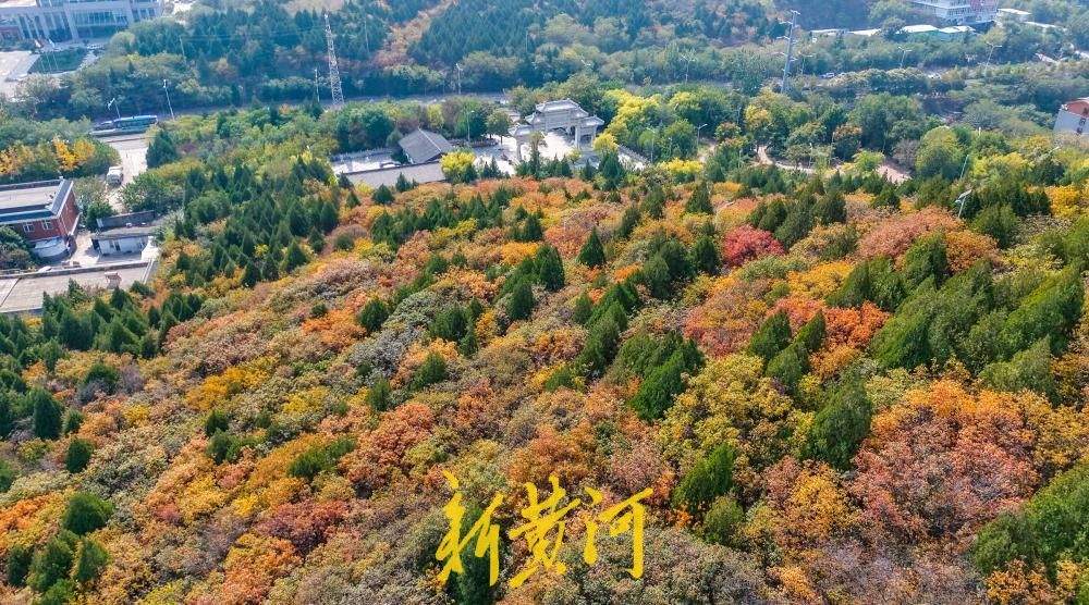 济南郎茂山红叶漫山，秋意正浓