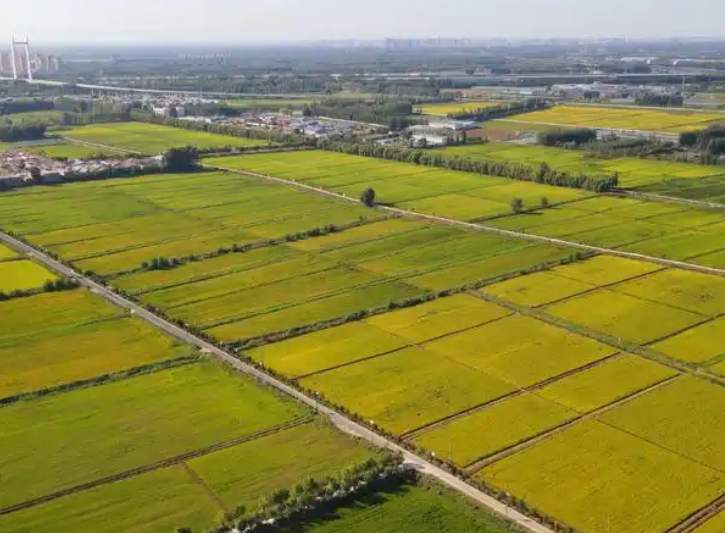 更好提供土地要素保障，济南细化低效用地17项认定标准